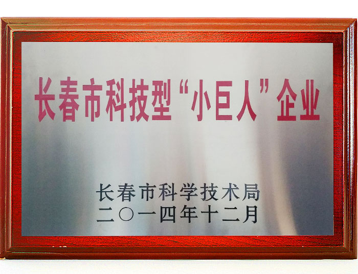 长春市科技型“小巨人”企业.jpg